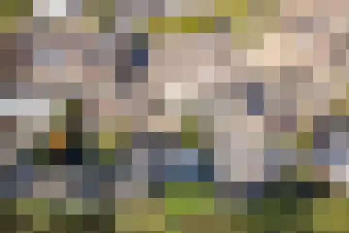 Botter 38 38 44 Lelystad thumbnail 37