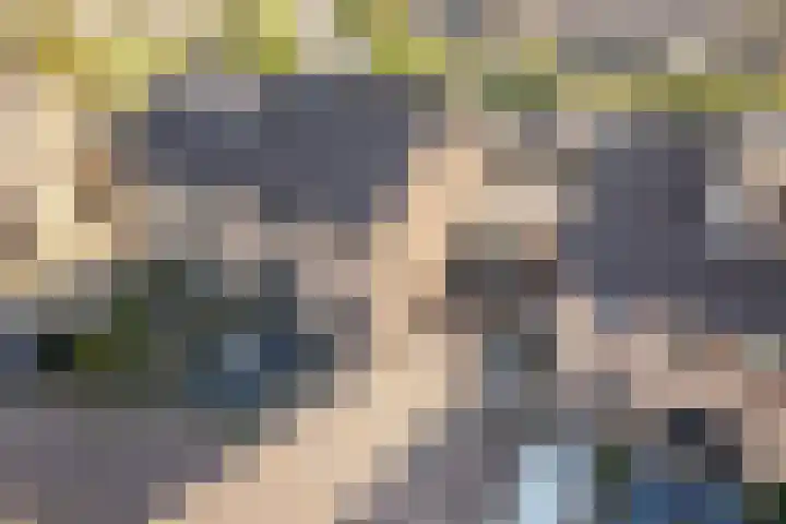 Botter 38 38 44 Lelystad thumbnail 5