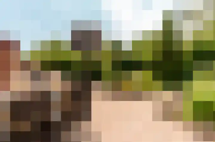 Botter 38 38 50 Lelystad thumbnail 31