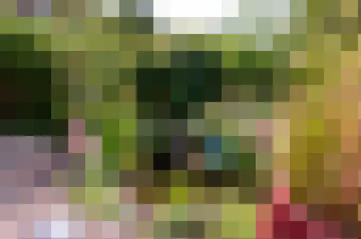 Botter 38 38 50 Lelystad thumbnail 32