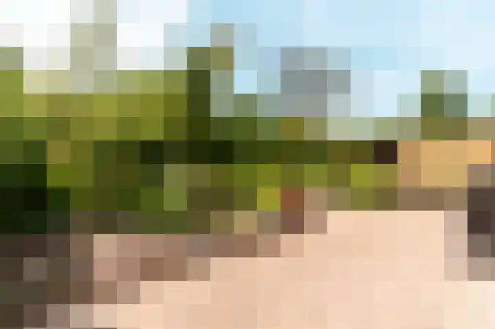 Botter 38 38 50 Lelystad thumbnail 4