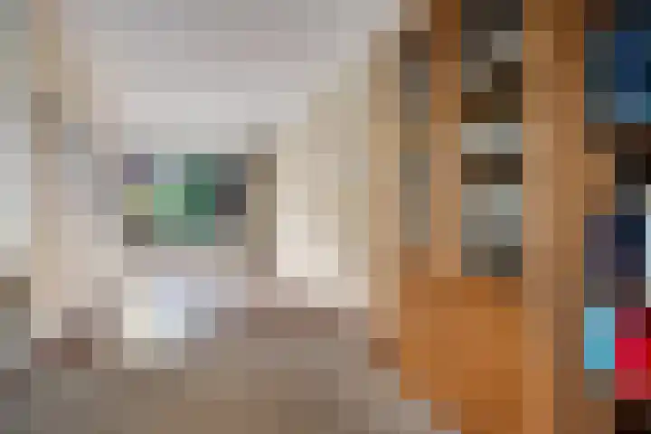 Botter 38 38 62 Lelystad thumbnail 10