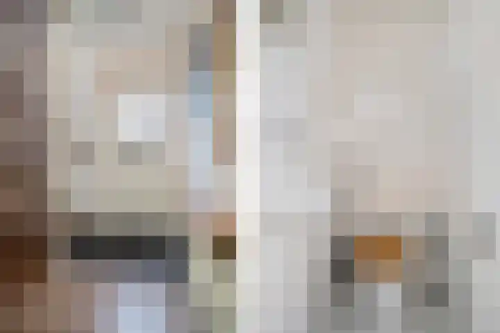 Botter 38 38 62 Lelystad thumbnail 14