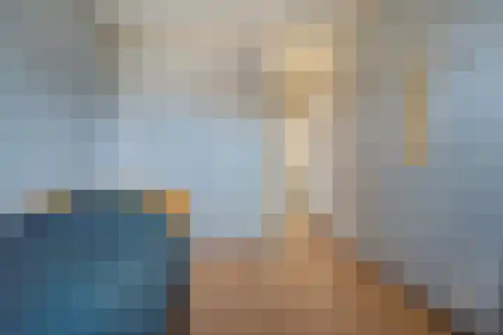 Botter 38 38 62 Lelystad thumbnail 19