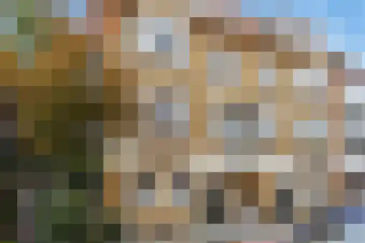 Botter 38 38 62 Lelystad thumbnail 22