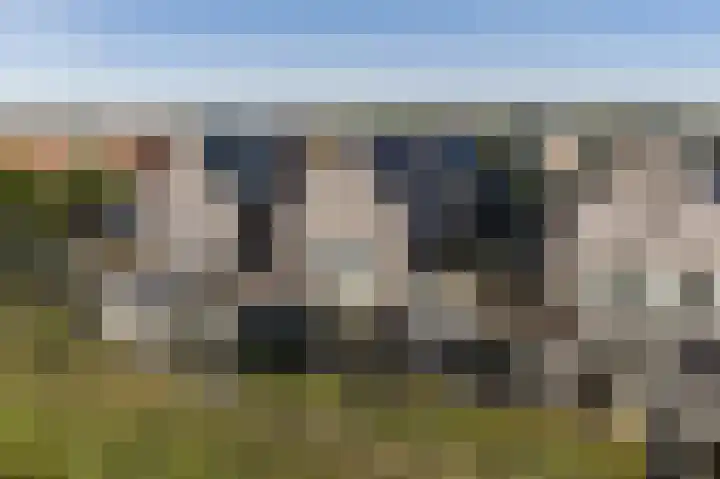 Botter 38 38 62 Lelystad thumbnail 27