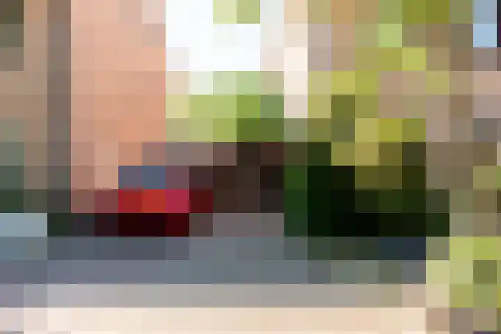 Botter 38 38 70 Lelystad thumbnail 11