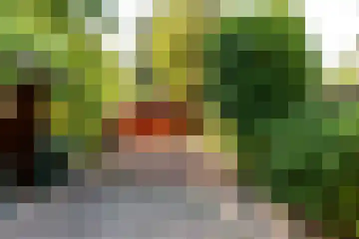Botter 38 38 70 Lelystad thumbnail 4