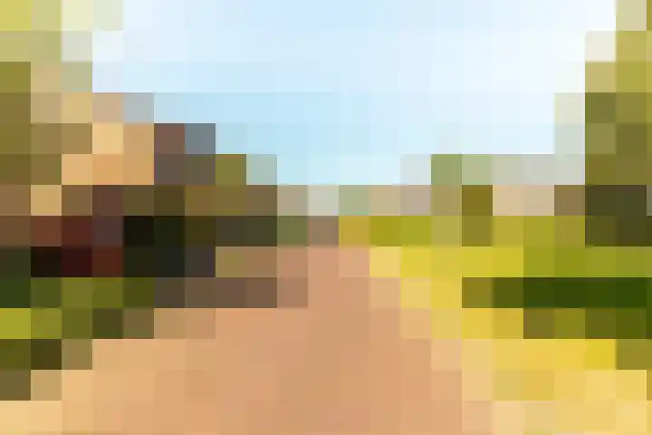 Botter 38 38 70 Lelystad thumbnail 40