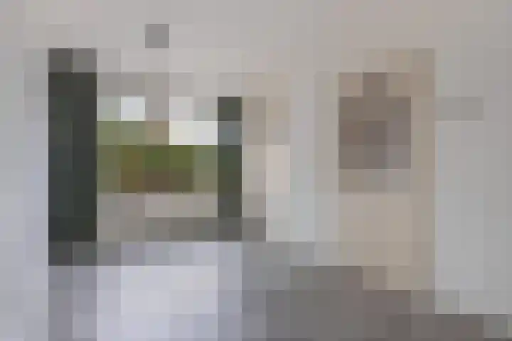 Botter 38 48 Lelystad thumbnail 11