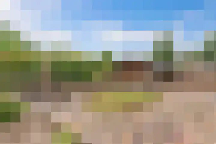 Botter 38 48 Lelystad thumbnail 20