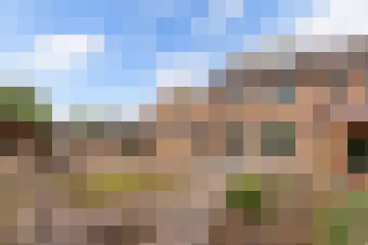 Botter 38 48 Lelystad thumbnail 21