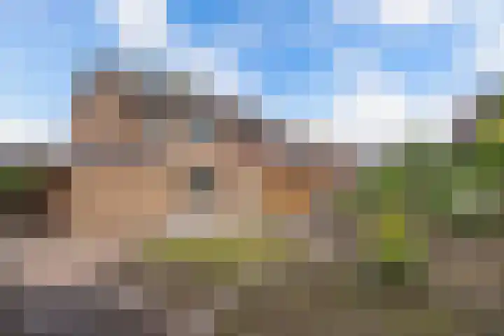 Botter 38 48 Lelystad thumbnail 22