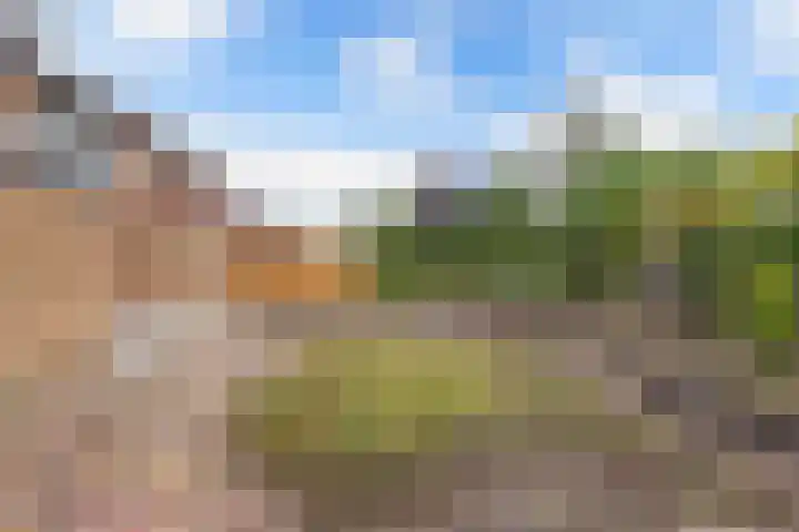 Botter 38 48 Lelystad thumbnail 24
