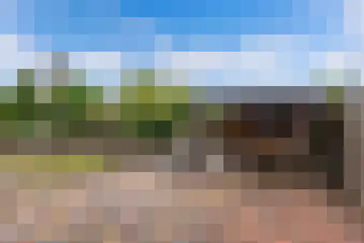 Botter 38 48 Lelystad thumbnail 25