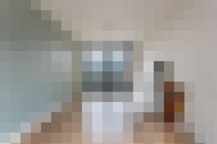 Botter 38 48 Lelystad thumbnail 26