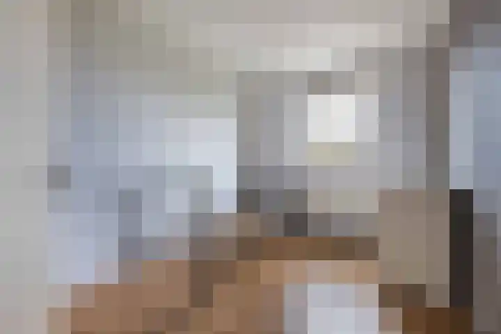 Botter 38 48 Lelystad thumbnail 33