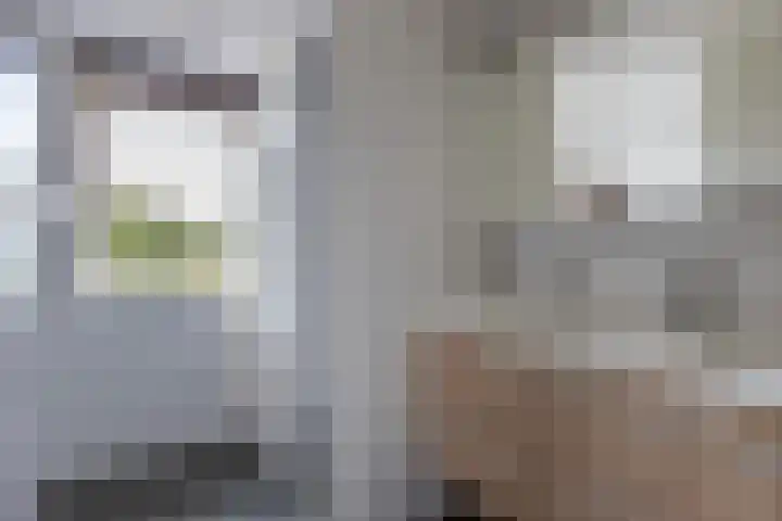 Botter 38 48 Lelystad thumbnail 34