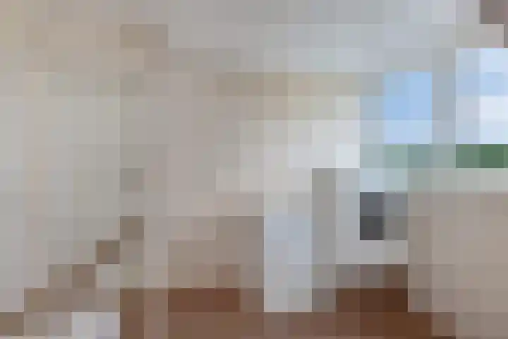 Botter 38 48 Lelystad thumbnail 40