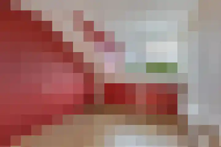 Botter 38 48 Lelystad thumbnail 41
