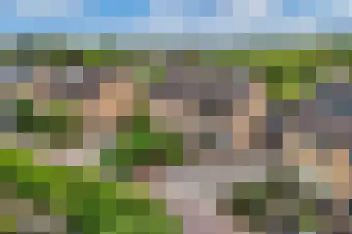 Botter 38 48 Lelystad thumbnail 48