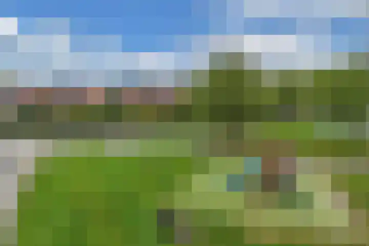 Botter 38 48 Lelystad thumbnail 52