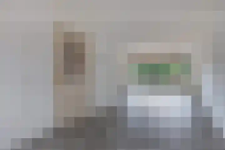 Botter 38 48 Lelystad thumbnail 6