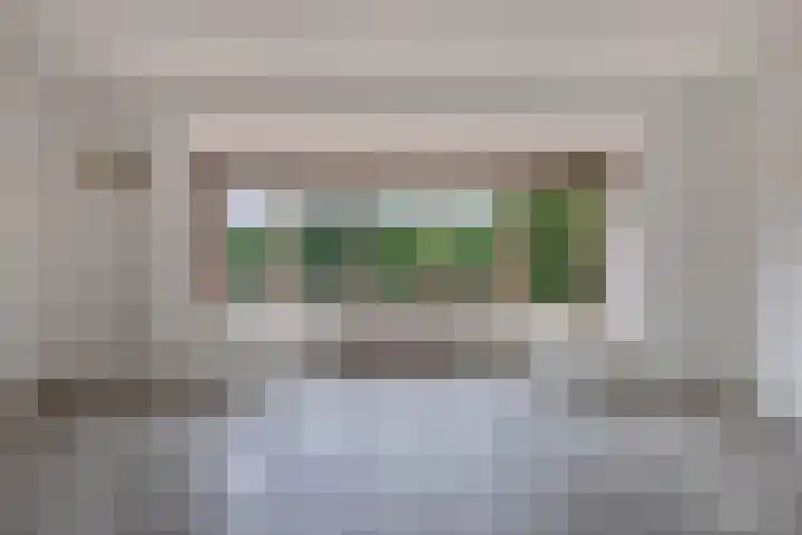 Botter 38 48 Lelystad thumbnail 7