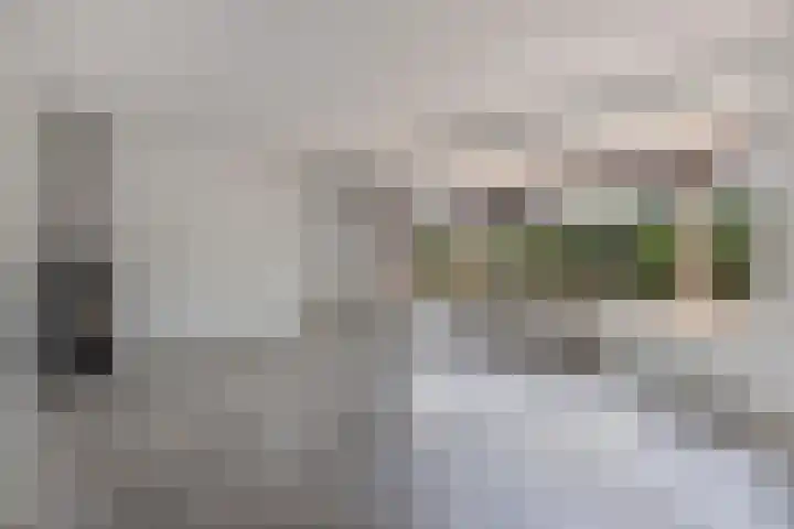 Botter 38 48 Lelystad thumbnail 8