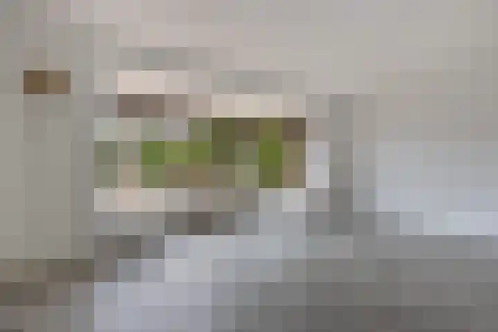 Botter 38 48 Lelystad thumbnail 9