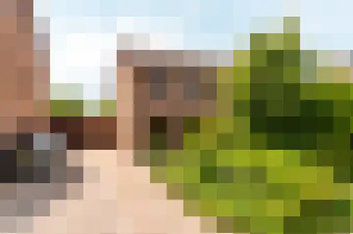Botter 38 50 Lelystad thumbnail 33