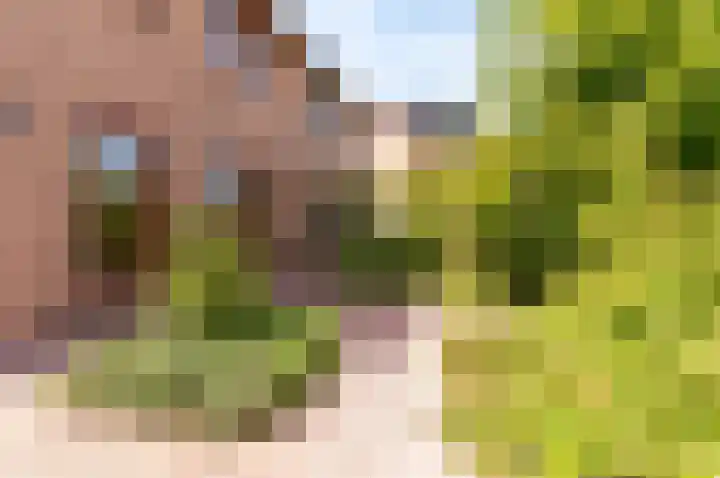 Botter 38 50 Lelystad thumbnail 34