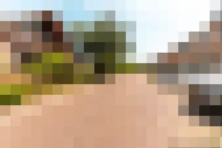 Botter 38 50 Lelystad thumbnail 35