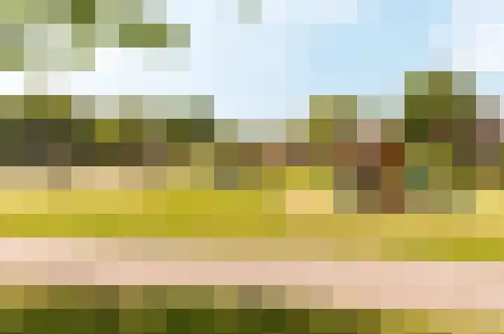 Botter 38 50 Lelystad thumbnail 36