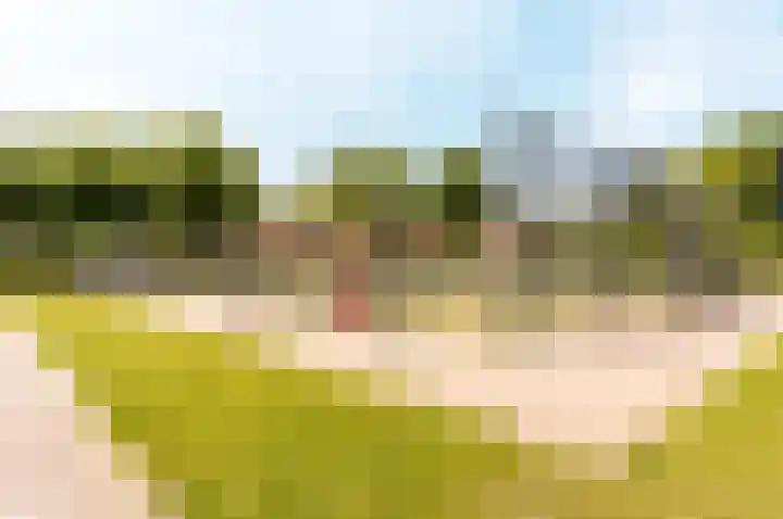 Botter 38 50 Lelystad thumbnail 37