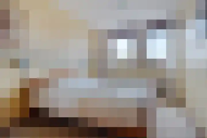 Botter 38 62 Lelystad thumbnail 16