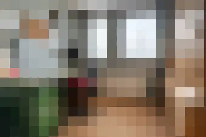 Botter 38 62 Lelystad thumbnail 20