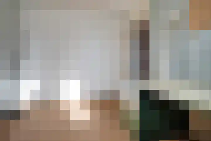 Botter 38 62 Lelystad thumbnail 21