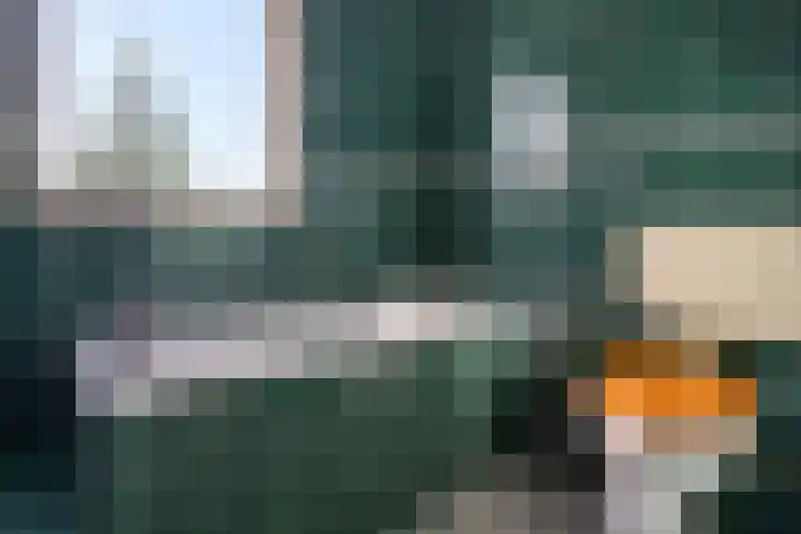 Botter 38 62 Lelystad thumbnail 23