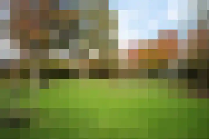 Botter 38 62 Lelystad thumbnail 28