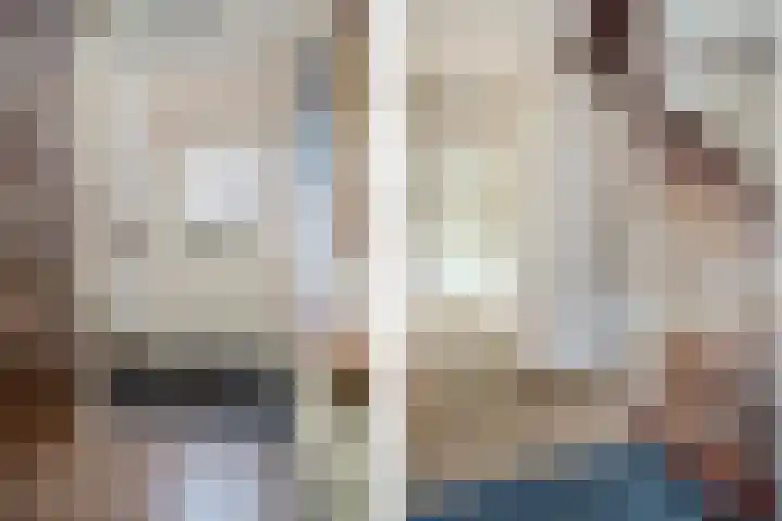 Botter 38 62 Lelystad thumbnail 6