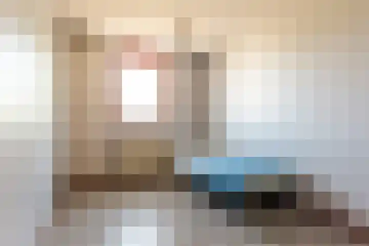 Botter 38 70 Lelystad thumbnail 28