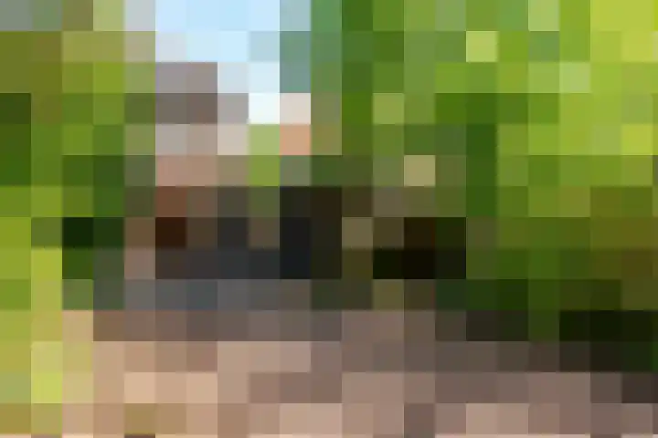Botter 38 70 Lelystad thumbnail 37