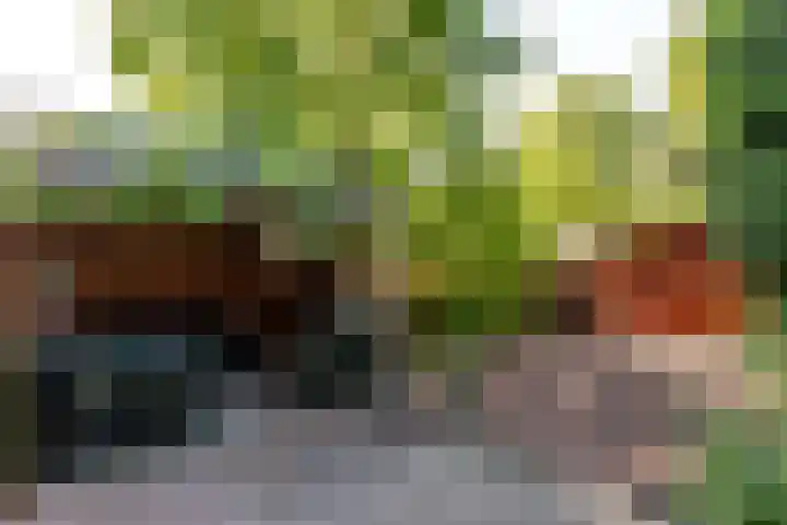 Botter 38 70 Lelystad thumbnail 38