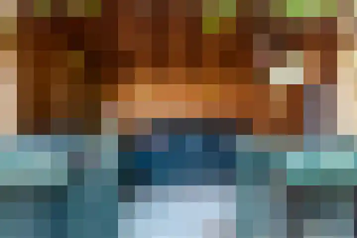 Botter 38 70 Lelystad thumbnail 39