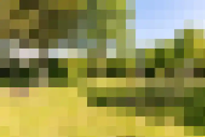 Botter 38 70 Lelystad thumbnail 41