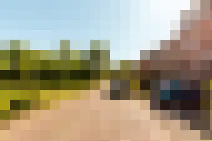Botter 38 70 Lelystad thumbnail 42