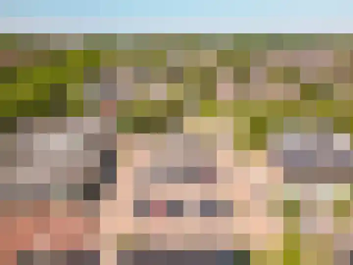 Botter 38 70 Lelystad thumbnail 43