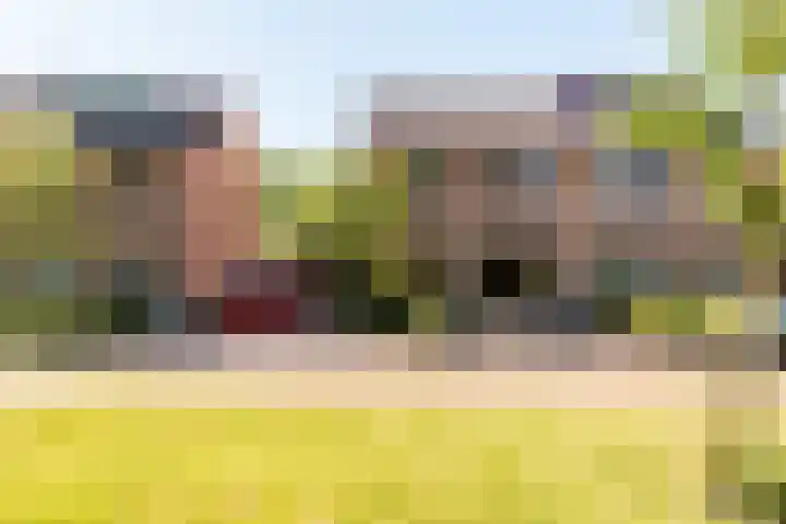 Botter 38 70 Lelystad thumbnail 8