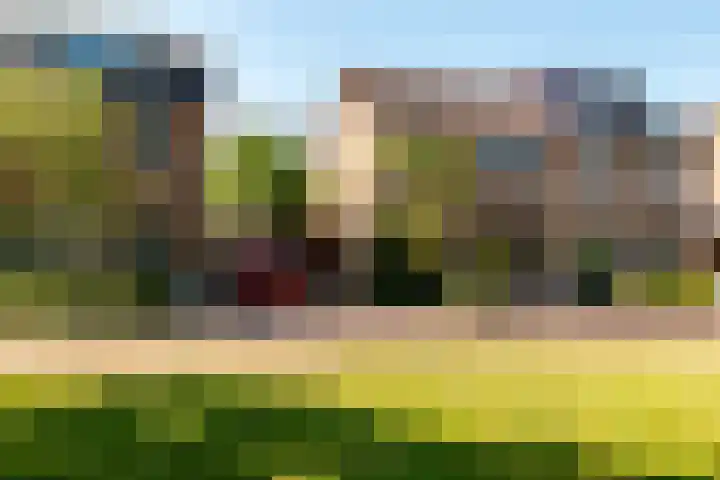 Botter 38 70 Lelystad thumbnail 9